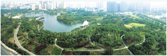 1517988443931508.png image.png